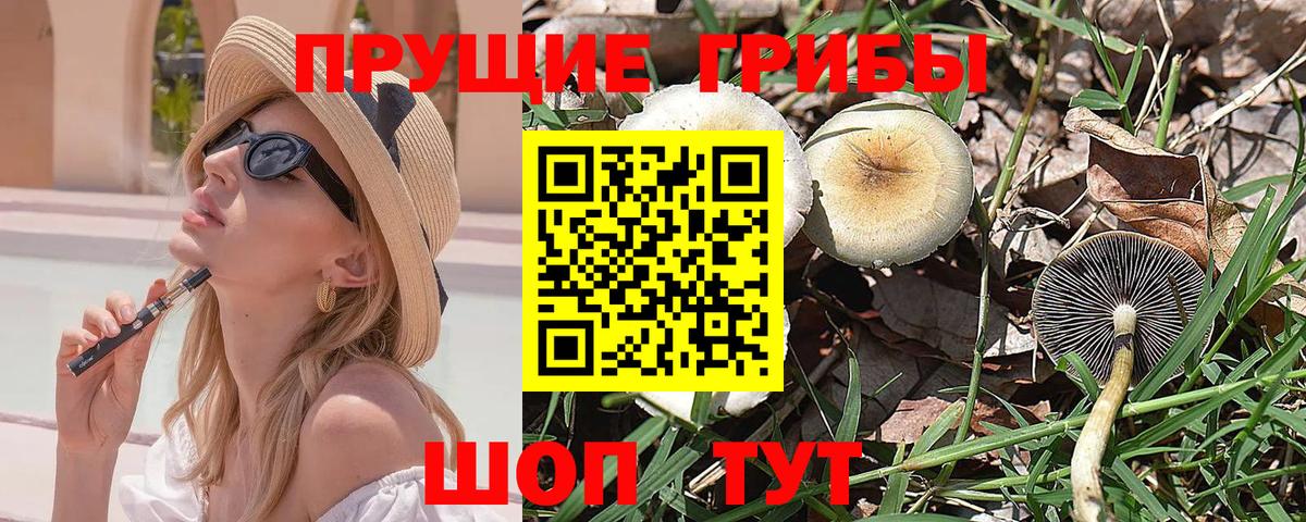 Галлюциногенные грибы Psilocybe  Вход с VPN  Нефтеюганск  Псилоцибиновые грибы MAGIC MUSHROOMS 